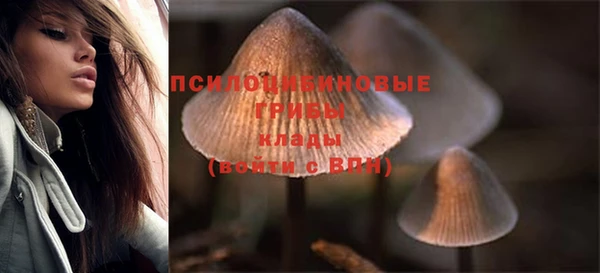 СК Балабаново